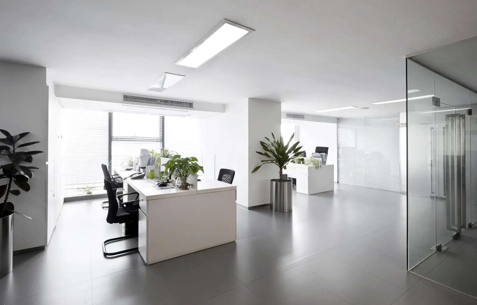 FoxDoo IT Solutions · photo 6